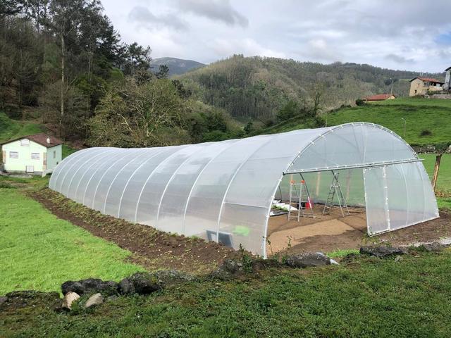 MIL ANUNCIOS.COM - Invernaderos tunel 8.5 x 50 mts NUEVOS