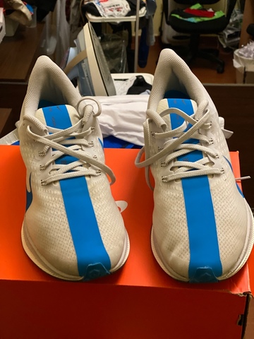 nike zoom pegasus 44