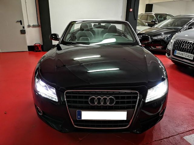 b9 persianas atrás luneta trasera 5-puertas año 15- Protección solar audi a4 coche familiar