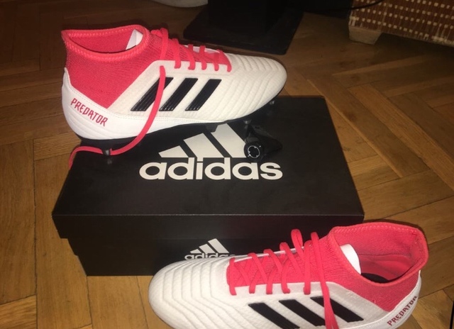 nuevas predator