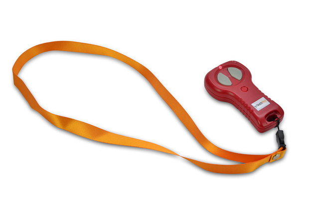 Cabrestante Electrico 12v Winch 2721Kg con Mando a Distancia 24m de Cable