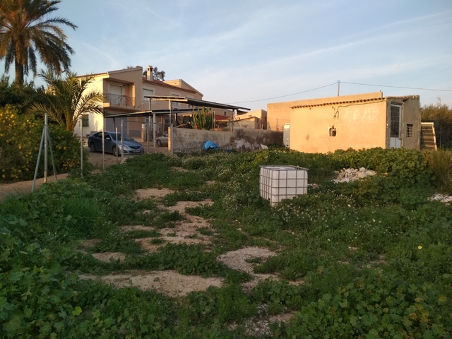 MIL Barrio de los López. la matanza Orihuela en Orihuela