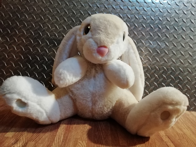 conejo orejon peluche