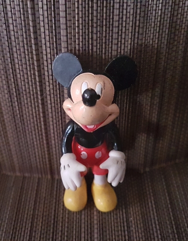 mickey mouse gateador
