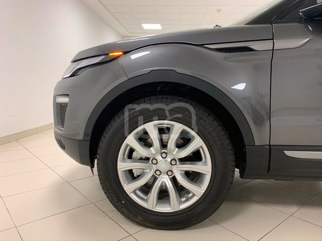 Range Rover Sport L494 2013-en Adelante rejilla parachoques delantero-Negro Brillante narvick