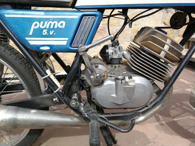 pulgar helado dorado MIL ANUNCIOS.COM - Lambretta Serveta Puma 5v documentada pulgar helado dorado MIL ANUNCIOS.COM - Lambretta Serveta Puma 5v documentada