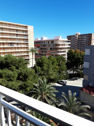 Mil Anuncios Com Playa San Juan Avenida Cataluña En Alicante Alacant
