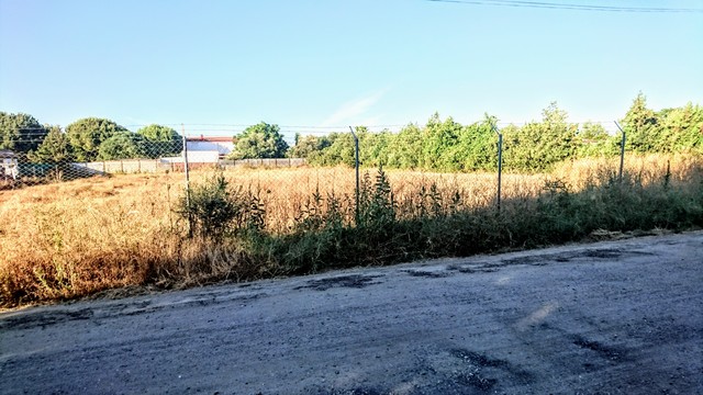 vibbo