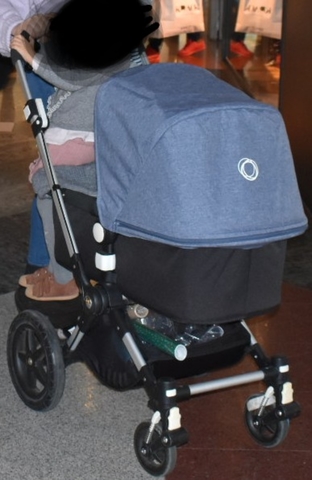 bugaboo chasis