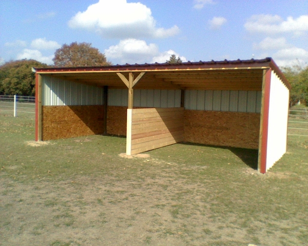 MIL ANUNCIOS.COM - Para caballos