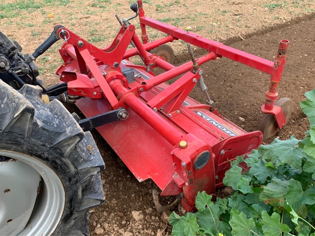Massey Ferguson MF 168 y MF 188 tractor de planta mano libro