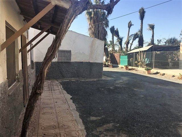 MIL ANUNCIOS.COM - Algoda Matola partida Algoda 12 en Elche