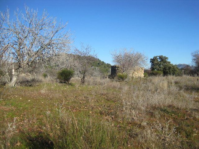 MIL ANUNCIOS.COM - Cenicientos finca rustica en Cenicientos