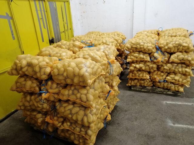 MIL ANUNCIOS.COM - Sacos de patatas