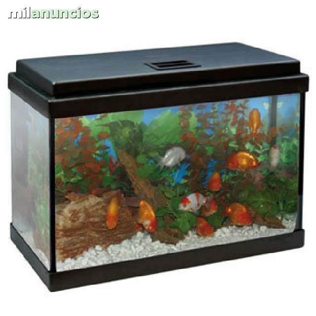 MIL ANUNCIOS.COM - Acuario completo aqua led 20 litros