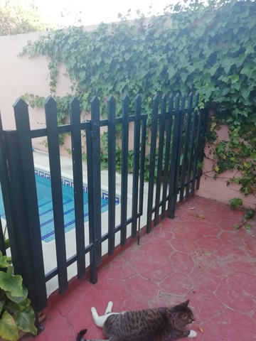 MIL ANUNCIOS.COM - Baranda de hierro