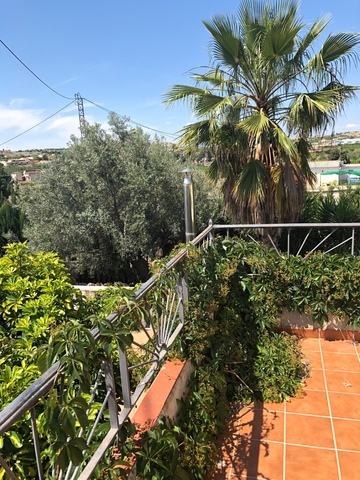 MIL ANUNCIOS.COM - Las arboledas en Archena