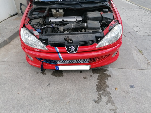 MIL ANUNCIOS.COM - Peugeot 206 GTI 2.0