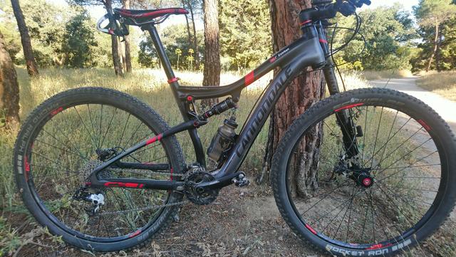 scalpel carbon 3 2016