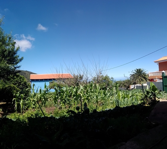 MIL Casa de campo con huerta y frutales