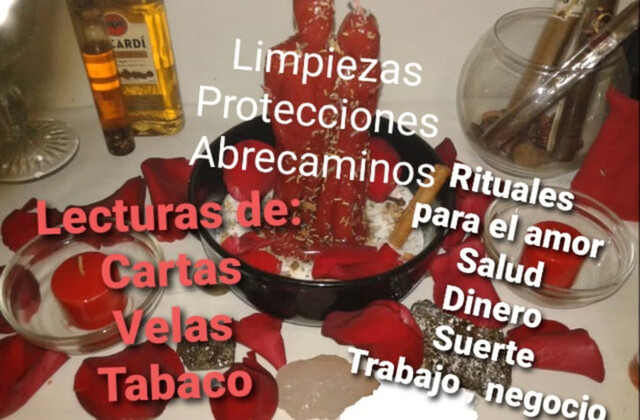 RENDIRSE NUNCA, VOLVER A INTENTAR, SI !