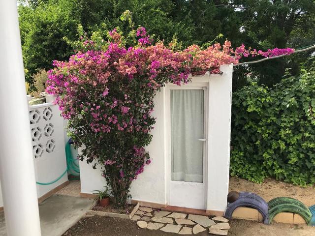 MIL ANUNCIOS.COM - Chalet en San Marcos Almendralejo en Almendralejo