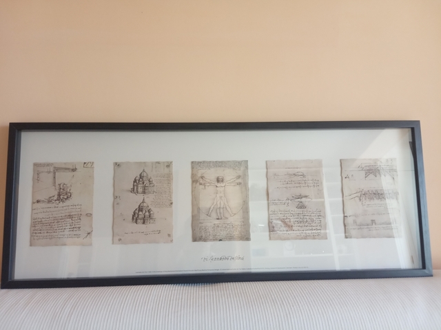 Ikea Olunda Leonardo Da Vinci Picture For Sale In Leopardstown Dublin From Scorpio