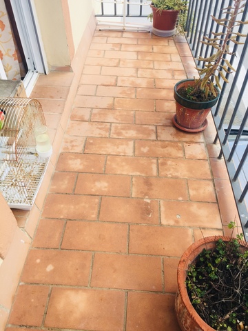 MIL ANUNCIOS.COM - Centro Verdigones Camino del Instituto en Sanlucar