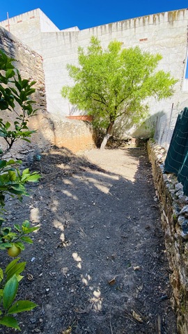 MIL ANUNCIOS.COM - Casa con patio trasero en centro alcala Doctor