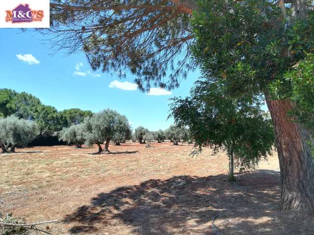 MIL Casa de campo Rf.3110 en Argamasilla de