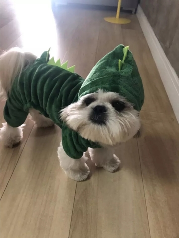 MIL ANUNCIOS.COM Ropa perro Segunda mano y anuncios MIL ANUNCIOS.COM Abrigos para perros Segunda mano y