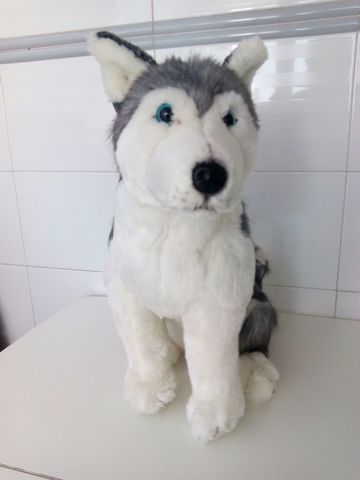 peluche husky grande