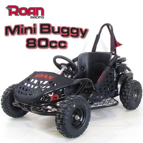 mini buggy 80cc