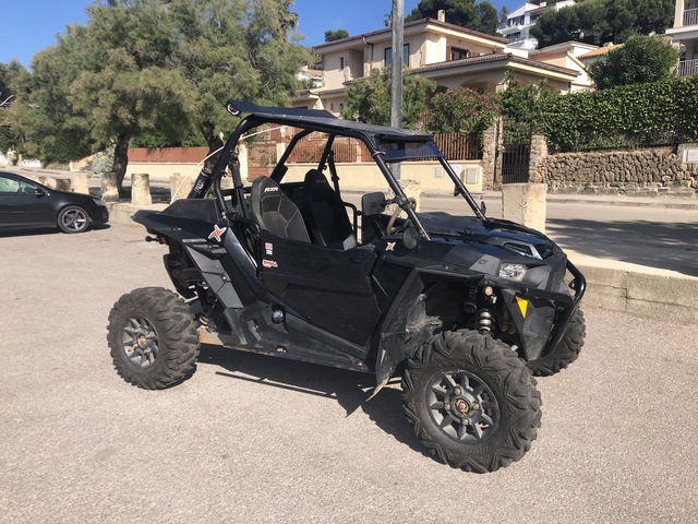 buggy rzr 1000