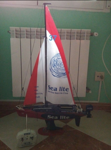 veleros teledirigidos