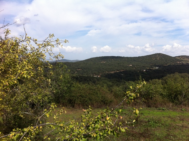 PARCELA/TERRENO SIERRA DE TENTUDIA.
