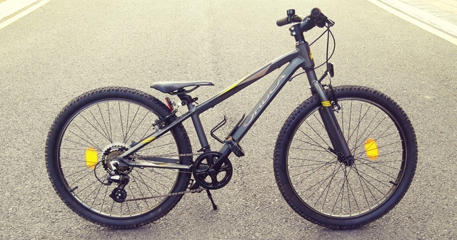 orbea mx 24 dirt