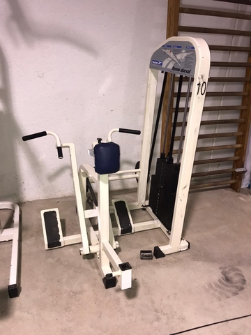 طرد ملاوي تصادف gimnasio reebok siete palmas - uswlocal4601.org