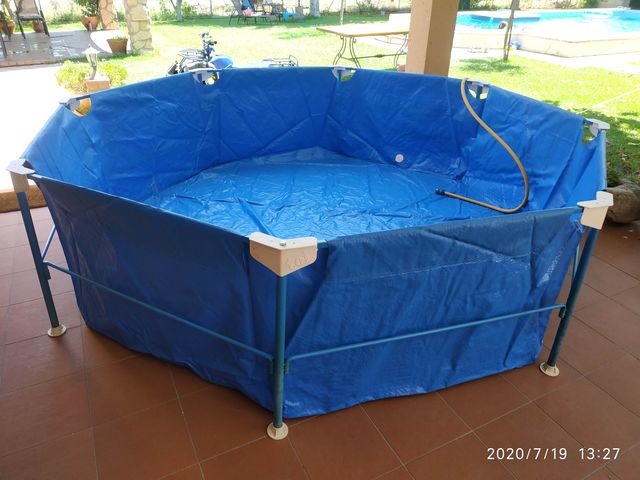 piscina toy