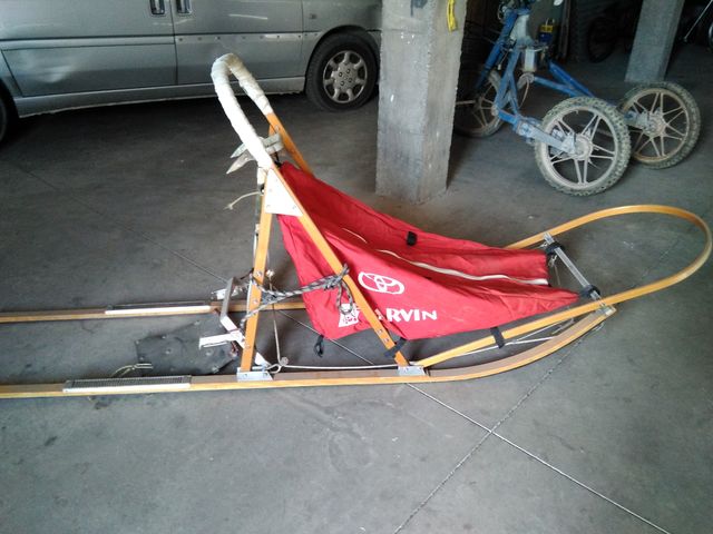 triciclo mushing