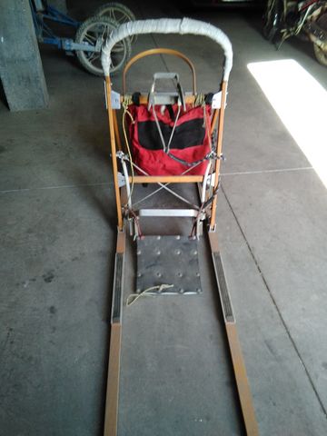 triciclo mushing