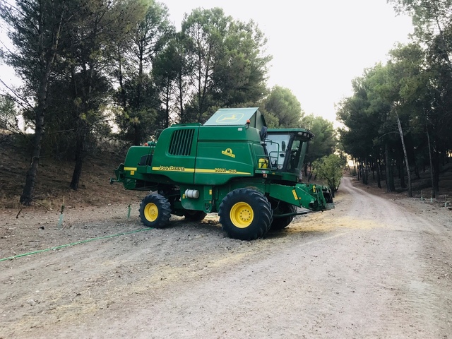 hillmaster 2