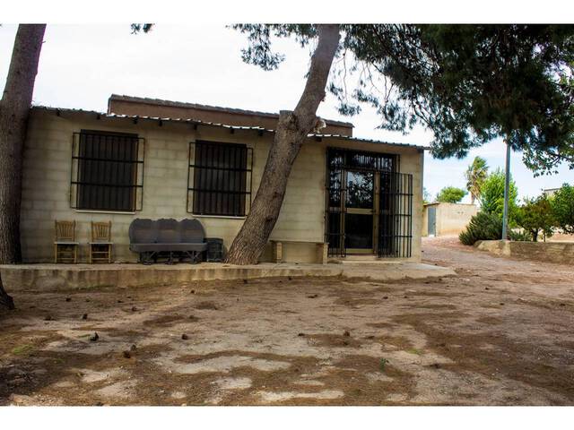 MIL Museros en Museros