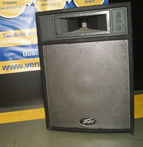 peavey pro 15