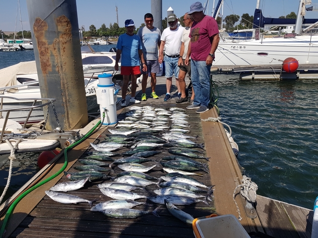 Cañas de pescar milanuncios Clearance