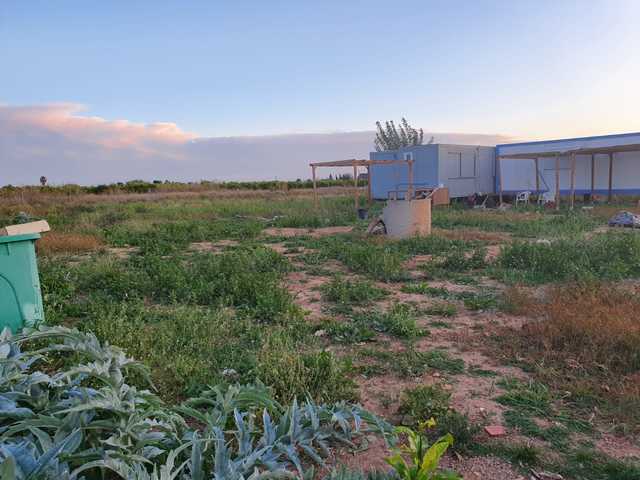 MIL ANUNCIOS.COM - Terreno en venta en almarda (NO ALQUILO) en Playa de