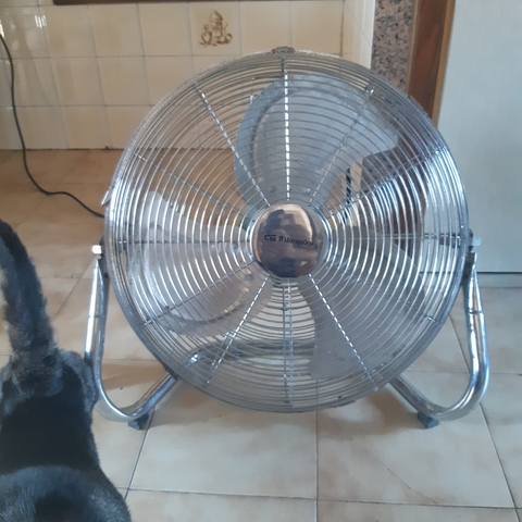 MIL ANUNCIOS.COM Ventilador orbegozo Segunda mano y MIL ANUNCIOS.COM Ventilador barcelona Segunda mano y