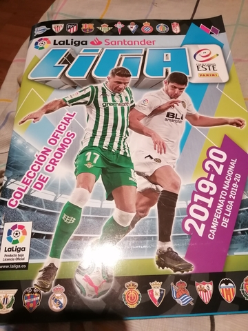 Panini UEFA Euro 2020 Adrenalyn XL Tarjetas Irlanda Del Norte