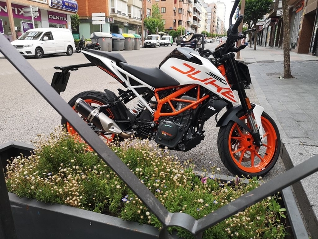 37 mejores imágenes de Duke 390 en 2020 | Motos, Motos 37 mejores imágenes de Duke 390 en 2020 | Motos, Motos