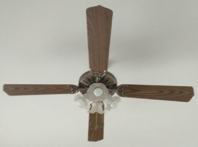 MIL ANUNCIOS.COM Lampara ventilador techo Segunda mano y Ventiladores de Techo segunda mano en la provincia de Cádiz